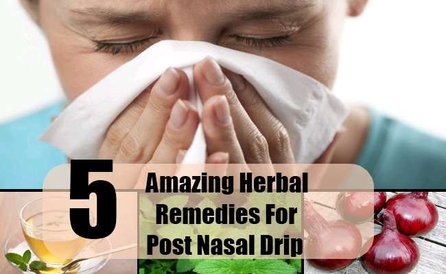5 Amazing Herbal Remedies For Post Nasal Drip