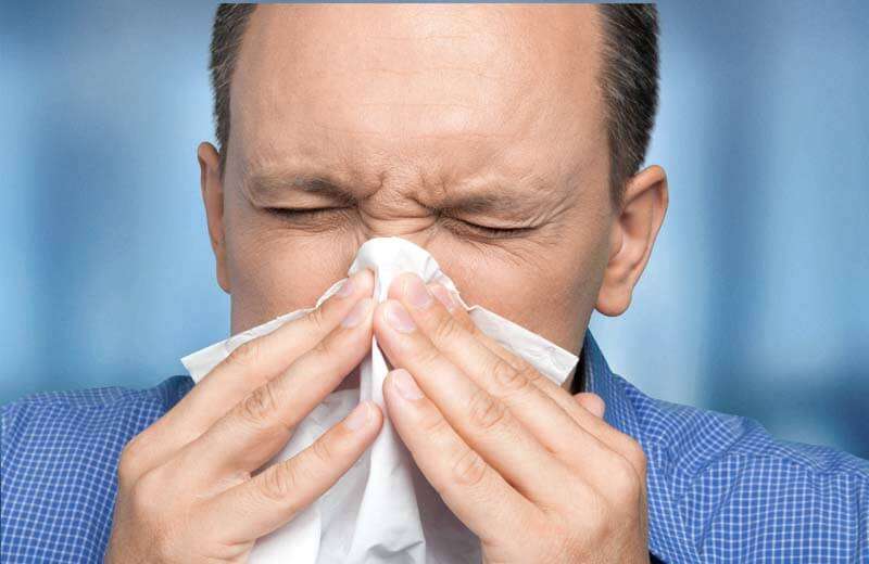 5 Essential Oil Based Remedies for a Sinus Infection ...