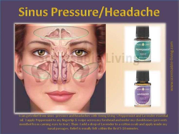 99 best images about Sinus/Allergy