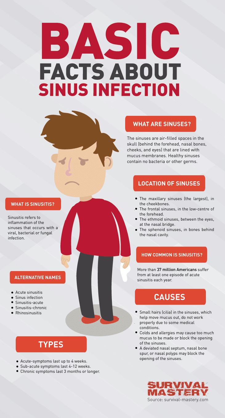 Basic facts about sinus infection infographic