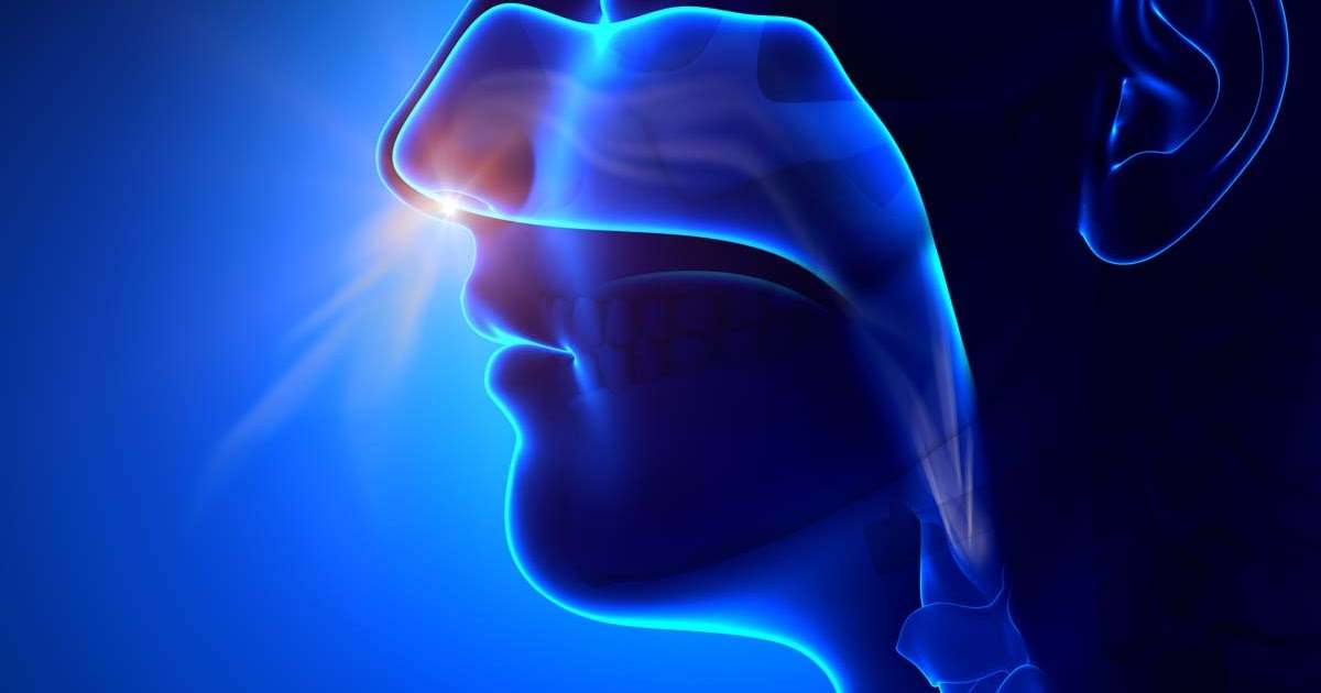 Can A Doctor See Inside Your Sinuses