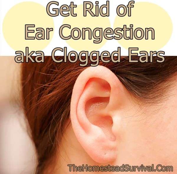 Get Rid of Ear Congestion aka Clogged Ears  The Homestead Survival