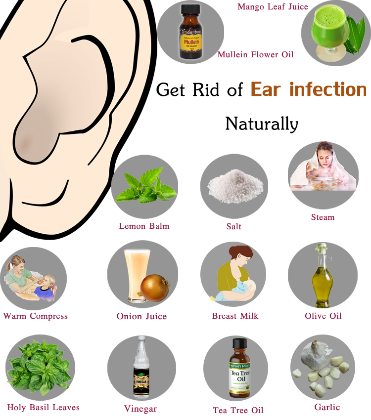 How To Treat Middle Ear Infection In Toddlers Ethmoid ...