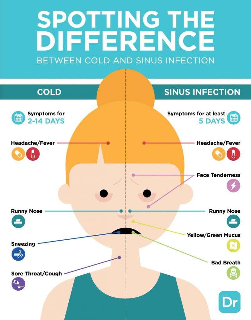 Is it a Cold or a Sinus Infection?