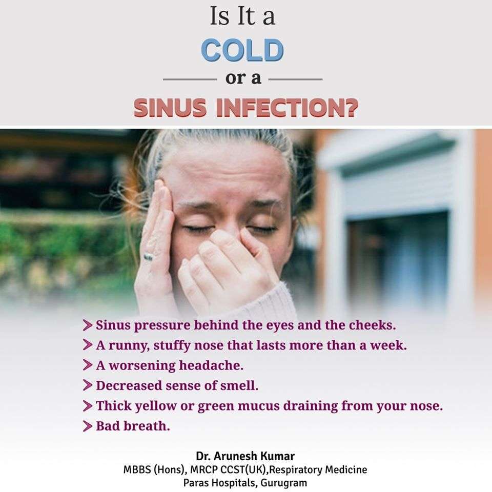 Is it Cold Or a Sinus Infection ?