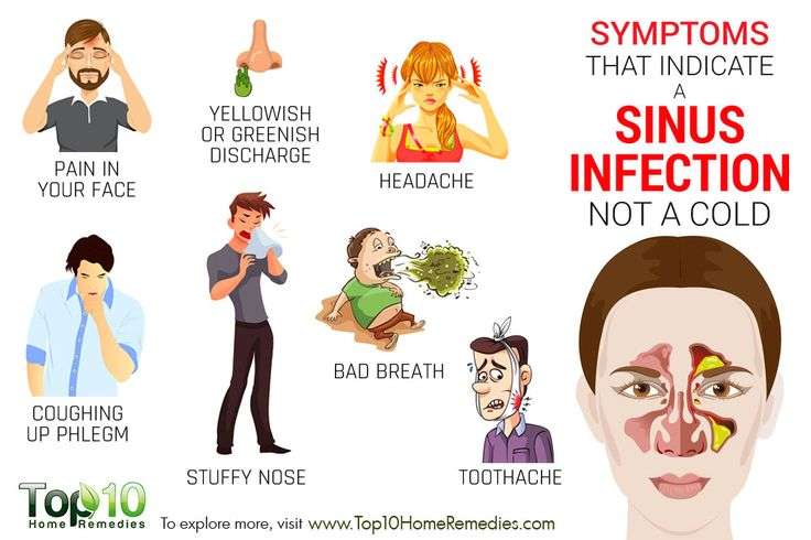 Symptoms that Indicate a Sinus Infection not a Cold
