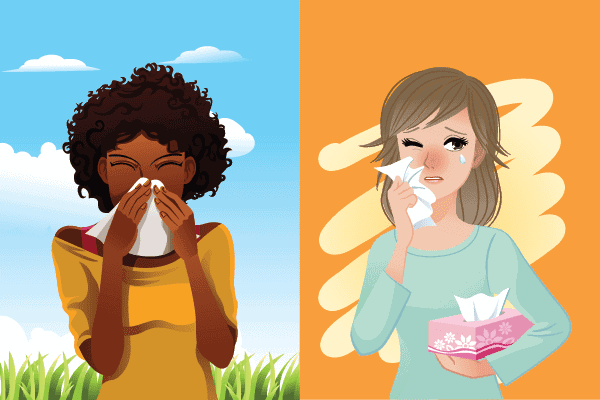 The Difference Between Sinusitis &  Allergies : Sinus ...